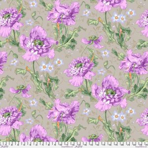 Papaver PWPJ127.GREY