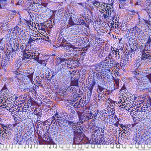 Fittonia PWPJ129.BLUE