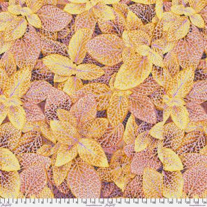 Fittonia PWPJ129.GOLD