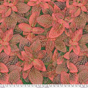 Fittonia PWPJ129.RED