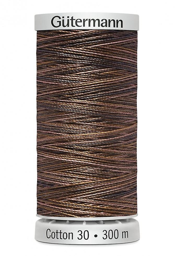 100% Cotton Variegated Thread 300m - 4011