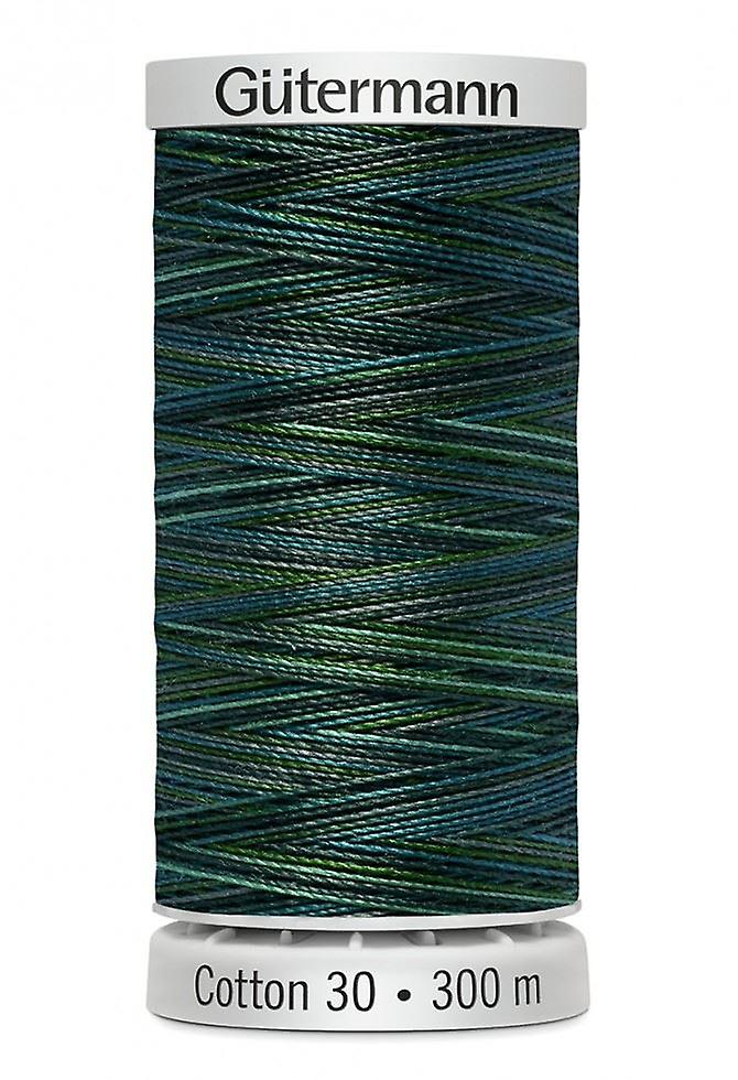 100% Cotton Variegated Thread 300m - 4021