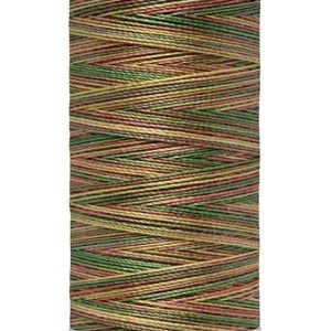 100% Cotton Variegated Thread 300m - 4107