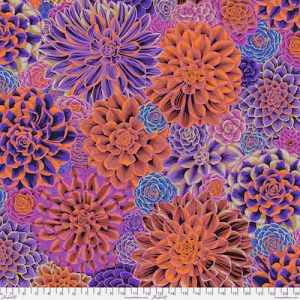 House Leeks PWPJ113.PURPLE