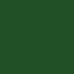 Designer Essential Solids.PARSLEY